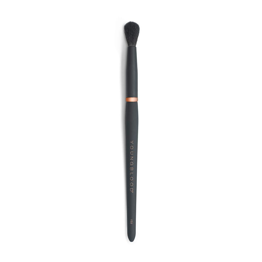 Youngblood YB8 Tapered Blending Brush